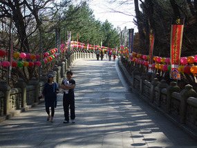 Roadway to Donghwasa Statue