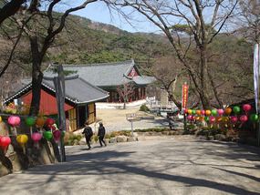 Start of Complex