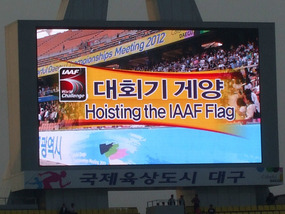Hoisting the Flag
