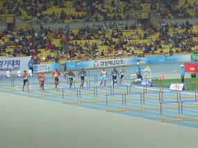 Mens Hurdles Race