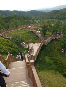 Viewing Platforms and Staircase