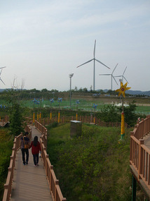 Viewing Platforms