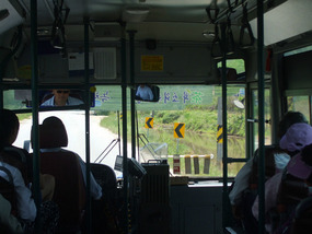 Bus Sticker makes you think Tea Fields ahead