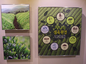 Cultivation Requirements
