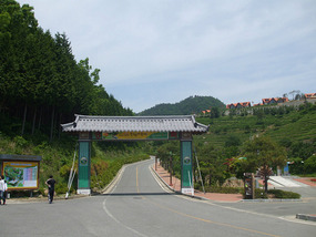 Gateway to Green Tea Museum