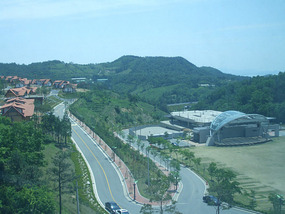 Landscape View