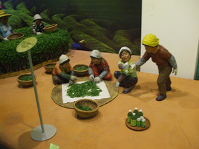 Sorting the Tea Leaves
