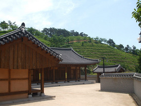 Traditional House overlooking Tea Fields