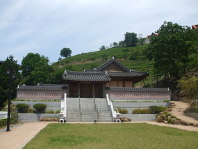 Traditional House