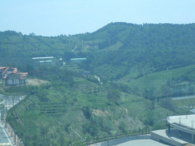 View from Observation Deck