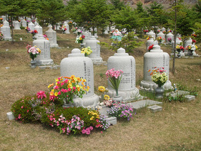 Rows of Tombstones