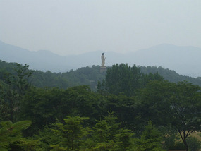 Distant Giant Buddha