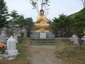 Gold Buddha in Cemetary