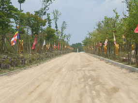 Long Pathway Up