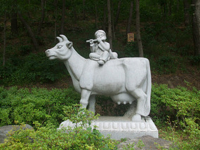 Mounted on Cow