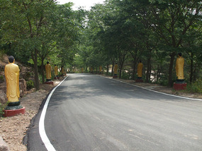 Pathway Up