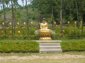 Seated in Buddha Field
