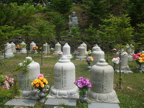 Smaller Cemetary Plot