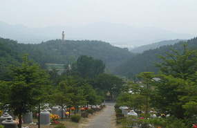 Span of Cemetary and Distant Giant Buddha