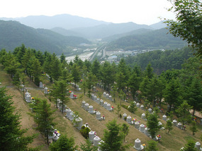 Span of Cemetary and Horizon
