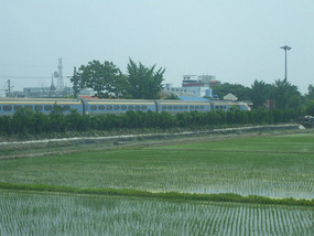 Train Passes thru Rice Fields