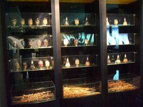 Glass Display Cabinet