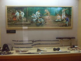 Gun Display