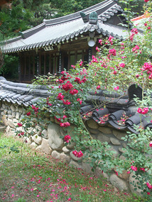 Home set in Rosebush