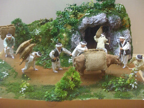 Traditional Farming