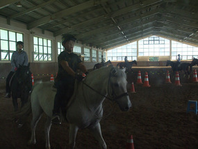 Circuit Riding