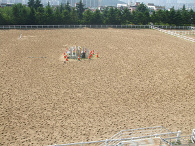 Hoofmarks in Outdoor Field
