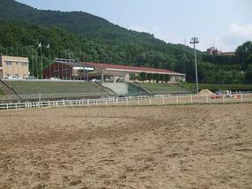 Horseriding Field