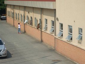 Horses Peering out Stables