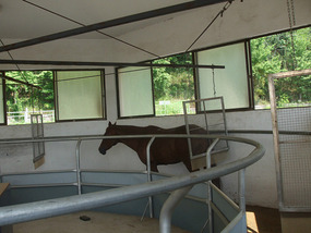 Indoor Circuit Machine