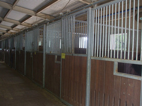 Stables