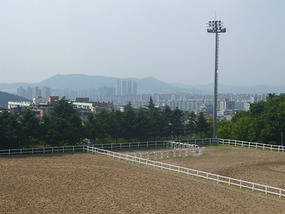 View of City