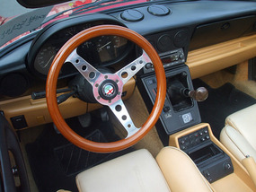 Interior Controls