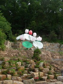 Lotus Garden