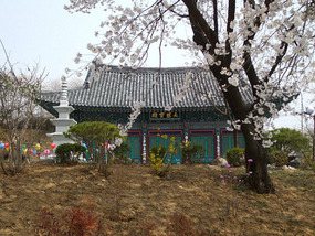 Building and Stupa with Blossom