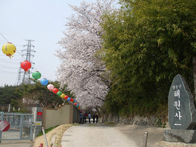 Side Path Entrance