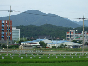 Temple set in foot of Mt Palgong