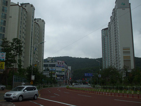 The New Neighbourhood