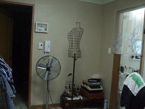 Dining / Living Room