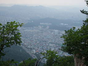City View