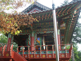 Colourful Roofwork