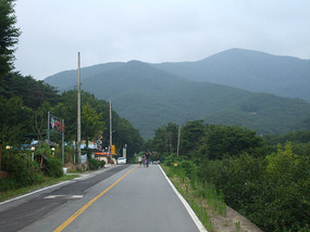 Country Lane Back