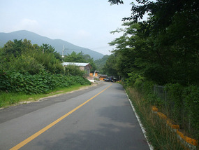 Small Road to Temple