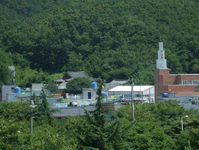 Temple Seen in Distance