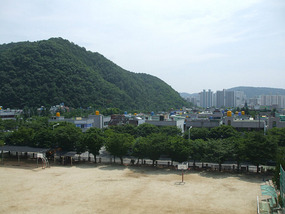 View from School