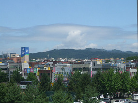 View from School